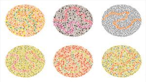 עיוורון צבעים